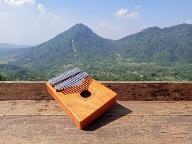 kalimba (20)