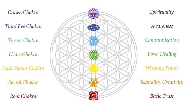 7 chakra